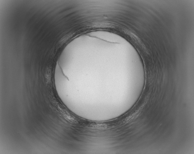 X0000075370833200610061810