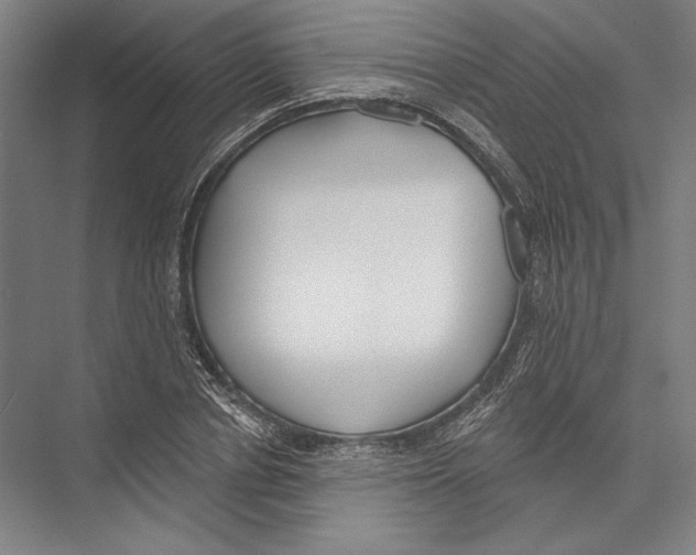 X0000075370834200610061810