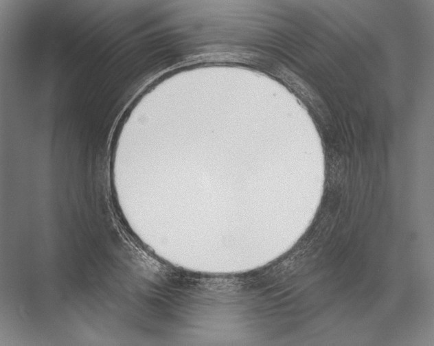 X0000075370836200610061810