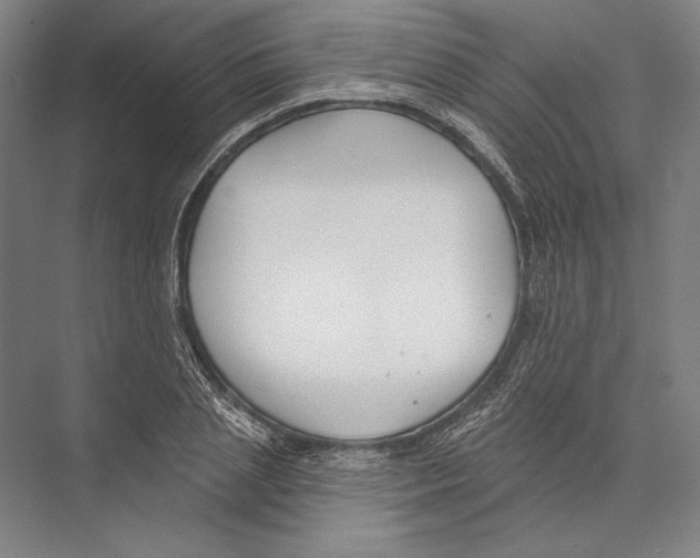 X0000075370837200610061810