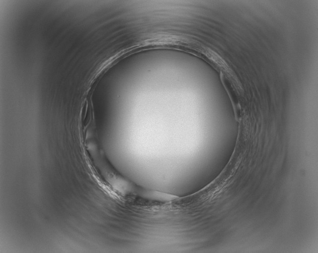 X0000075370842200610061811