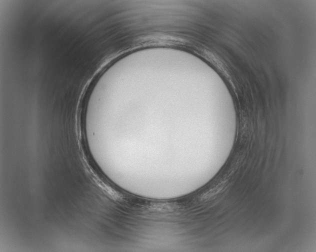 X0000075370843200610061811