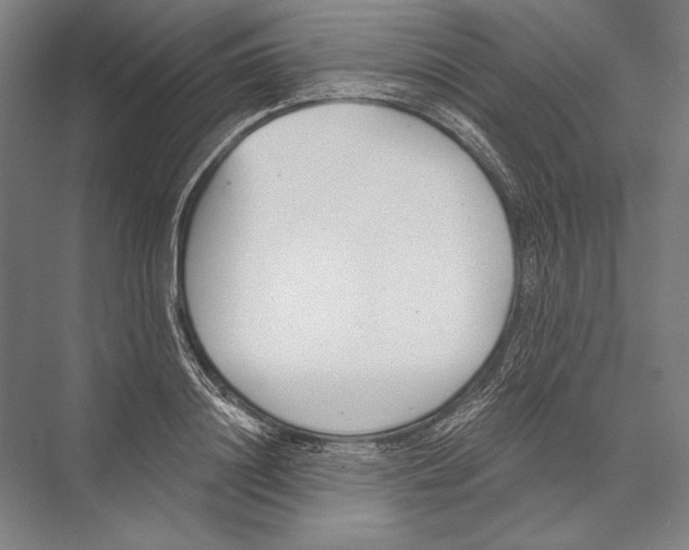 X0000075370844200610061811