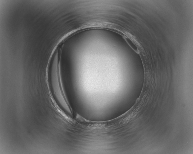 X0000075370846200610061811