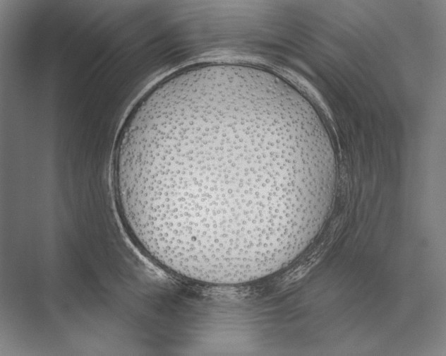 X0000075370855200610061811
