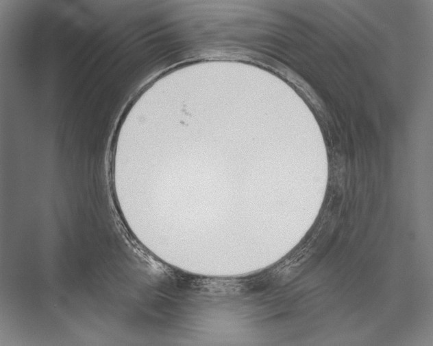 X0000075370856200610061811
