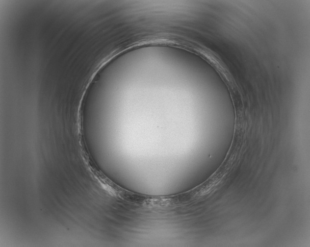 X0000075370858200610061811