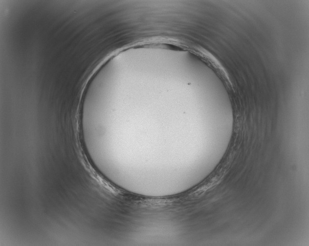 X0000075370860200610061811