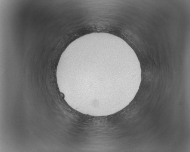 X0000075370865200610061810