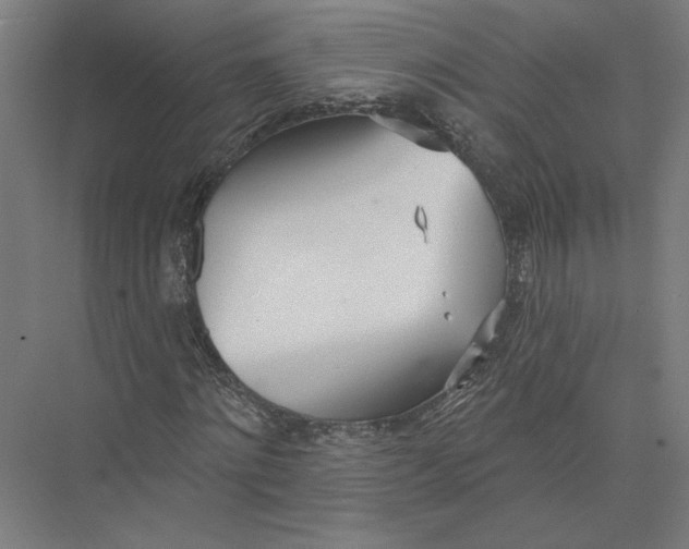 X0000075370868200610061810