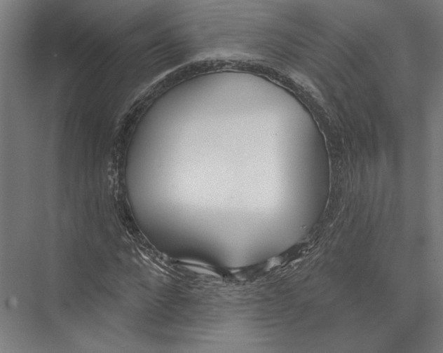 X0000075370872200610061810