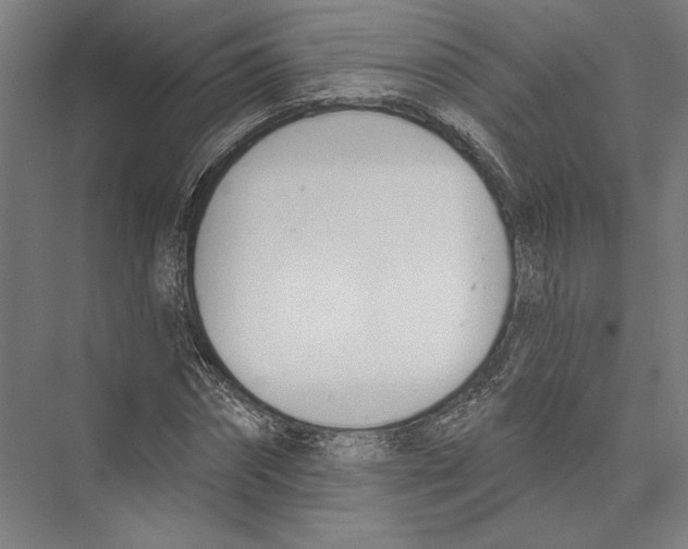 X0000075370874200610061810
