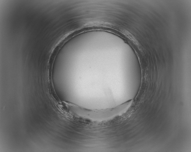 X0000075370877200610061810