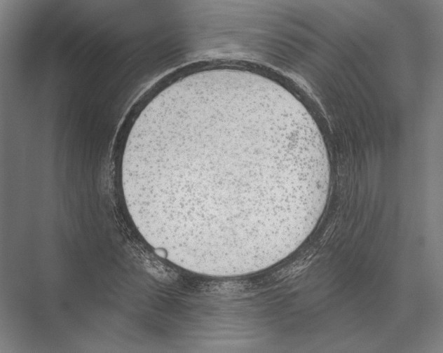 X0000075370879200610061810