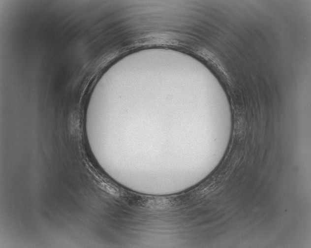 X0000075370882200610061810