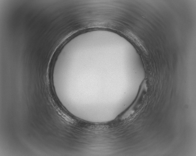 X0000075370884200610061810