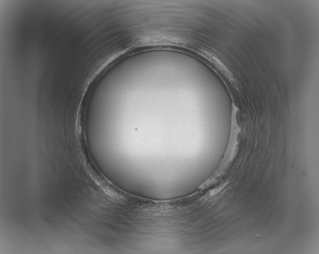 X0000075370885200610061810