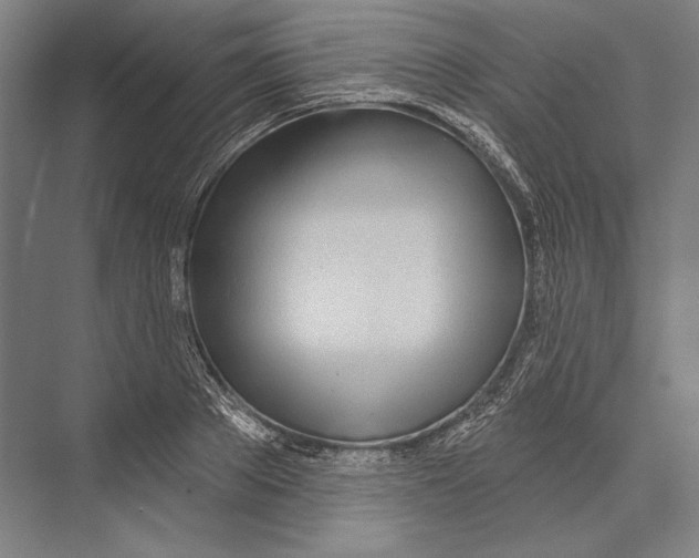 X0000075370889200610061810