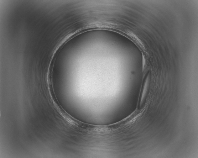 X0000075370893200610061810