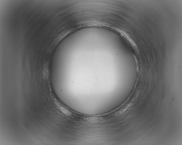 X0000075370897200610061810