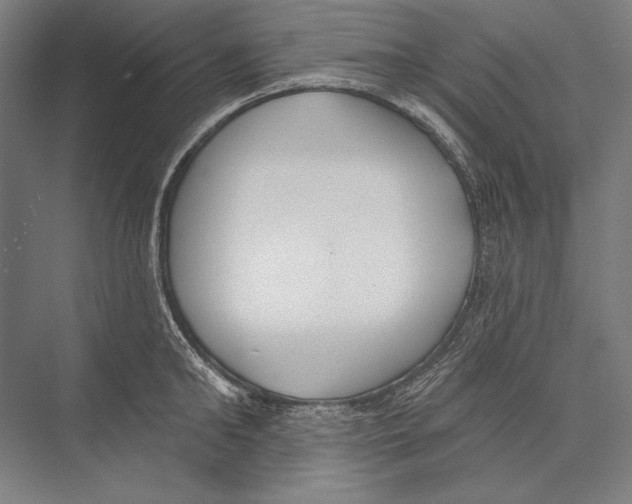 X0000075370902200610061809