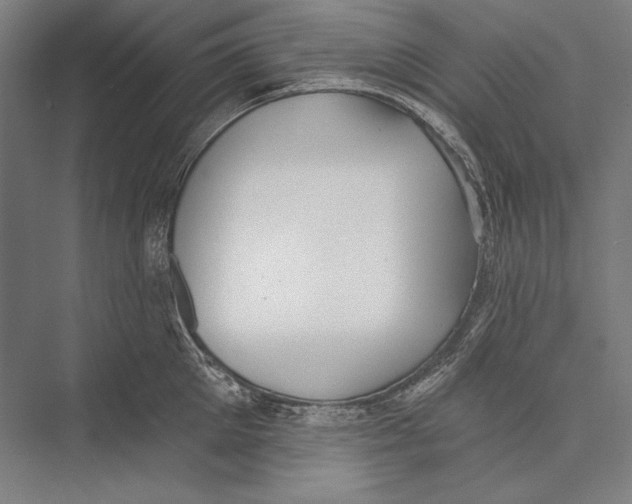 X0000075370905200610061809