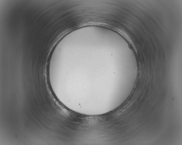 X0000075370906200610061809