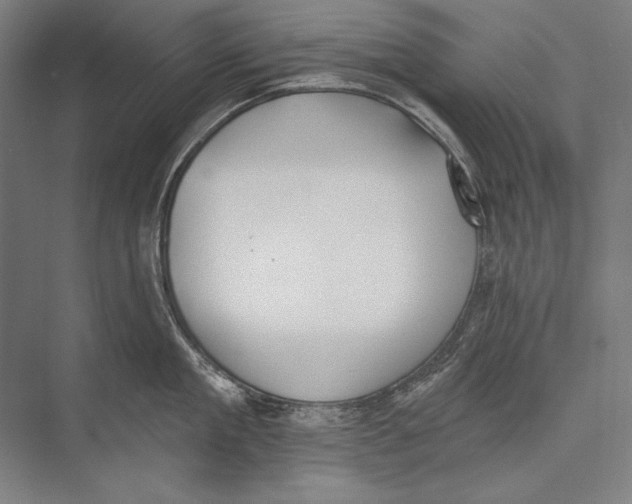 X0000075370909200610061809