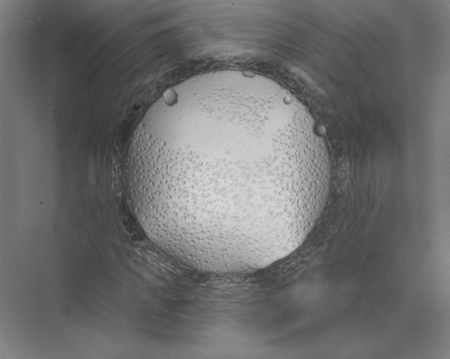 X0000075370917200610061809