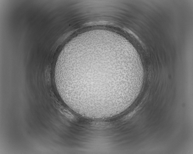 X0000075370921200610061809
