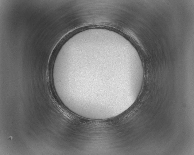 X0000075370924200610061809
