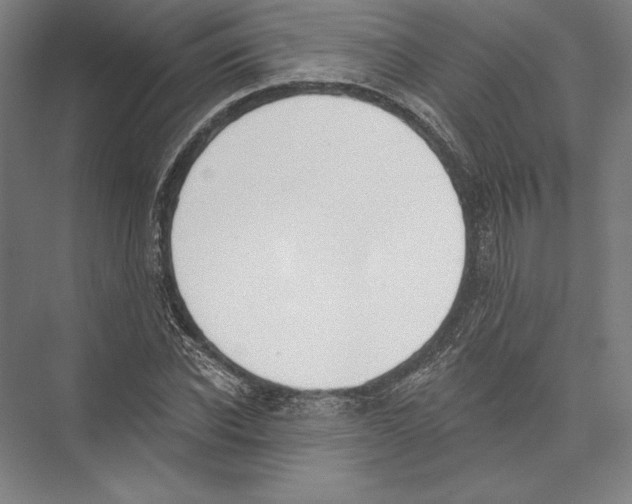 X0000075370926200610061809