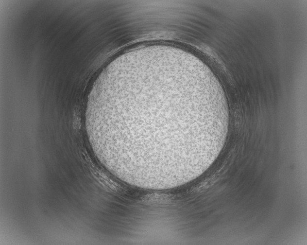 X0000075370929200610061809
