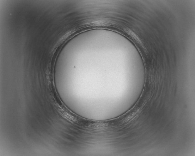 X0000075370930200610061809