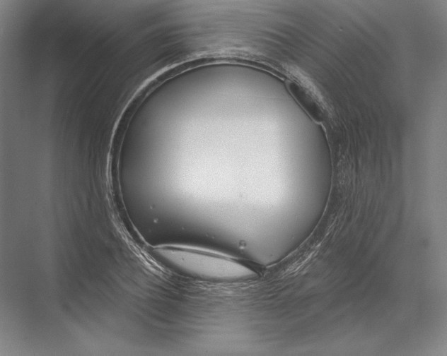 X0000075370932200610061809