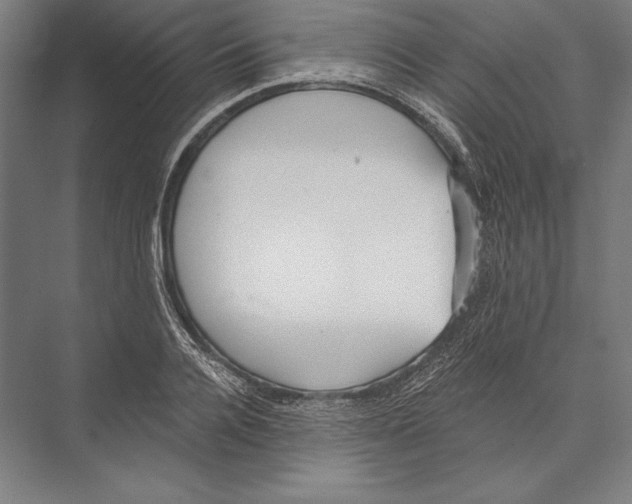 X0000075370936200610061809