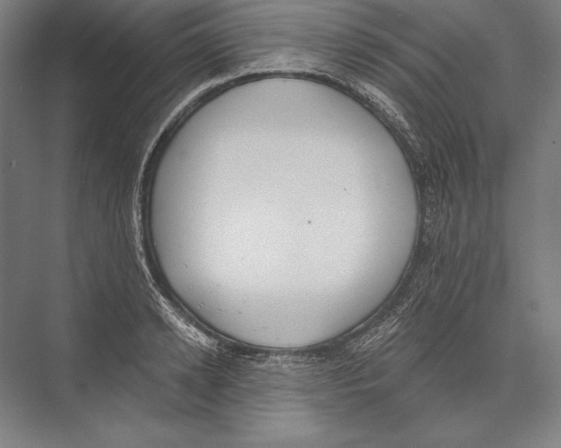 X0000075370942200610061809
