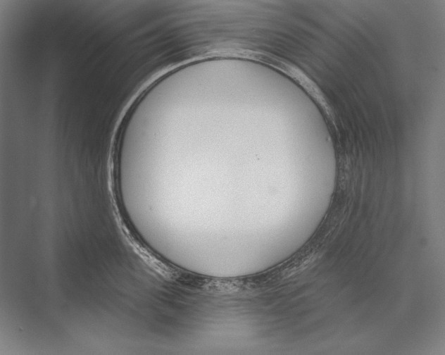 X0000075370955200610061809