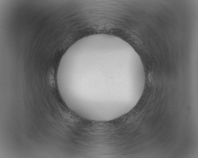 X0000075370963200610061808