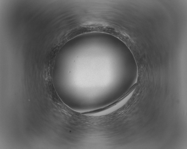 X0000075370965200610061808