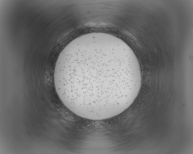 X0000075370966200610061808