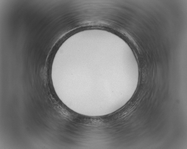 X0000075370975200610061808