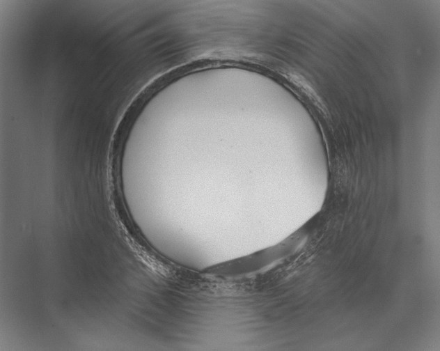X0000075370976200610061808
