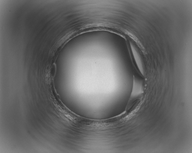 X0000075370977200610061808