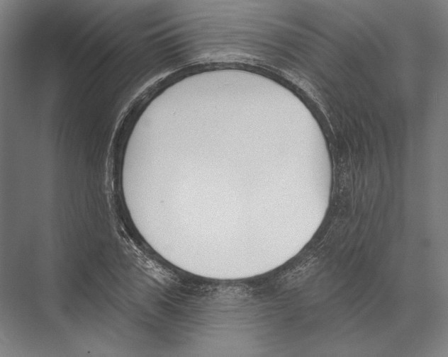 X0000075370979200610061808