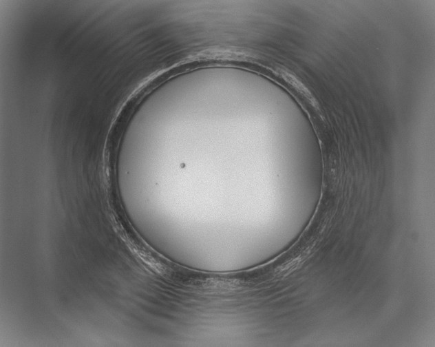 X0000075370981200610061808