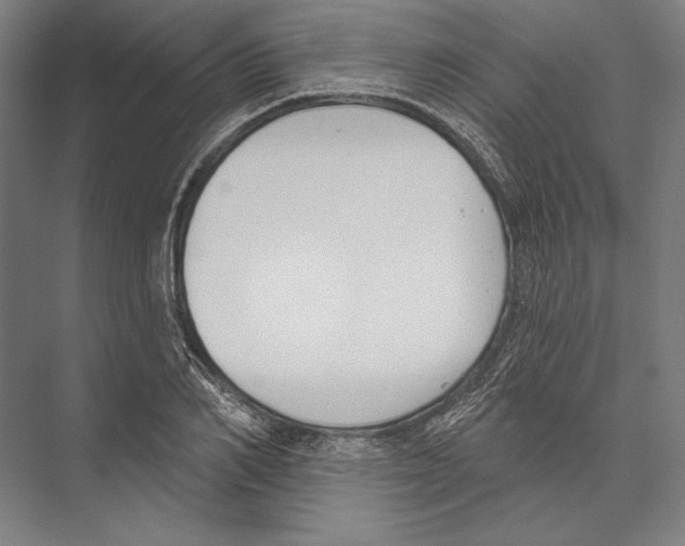 X0000075370982200610061808