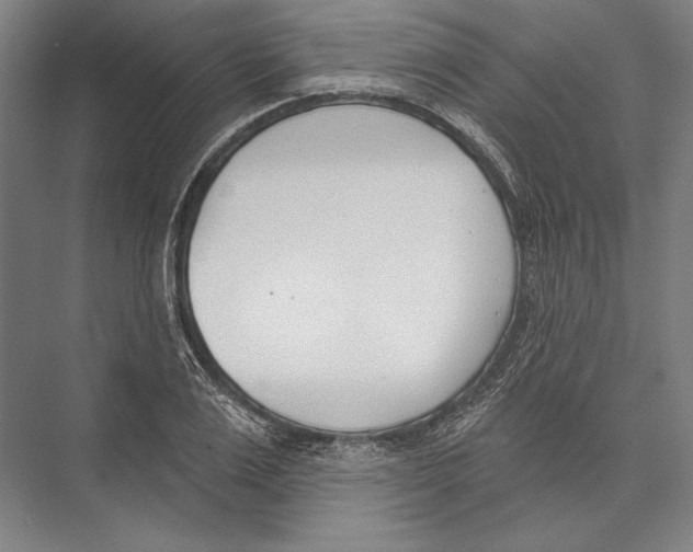 X0000075370983200610061808