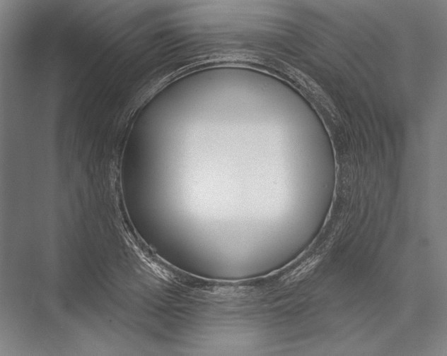 X0000075370985200610061808