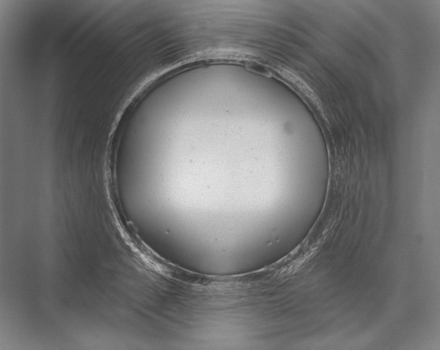 X0000075370989200610061808